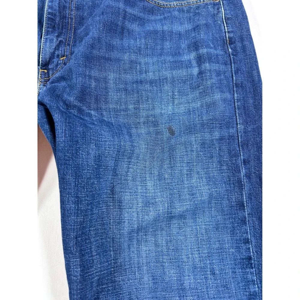 Levis levis 569